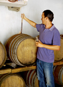 a wine maker sampling wine from a barrel