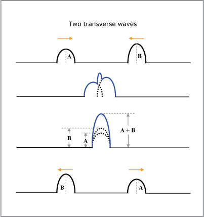 diagram of two transverse waves