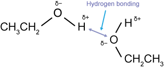 hydrogen bonding between alcohol molecules
