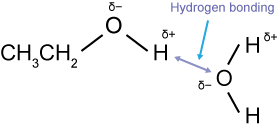 hydrogen bonding between water and alcohol molecules