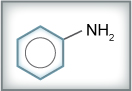 phenylamine structure